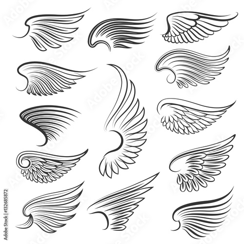 Vector wings isolated on white background. Cartoon tattoo, tribal and vintage heraldic wing set