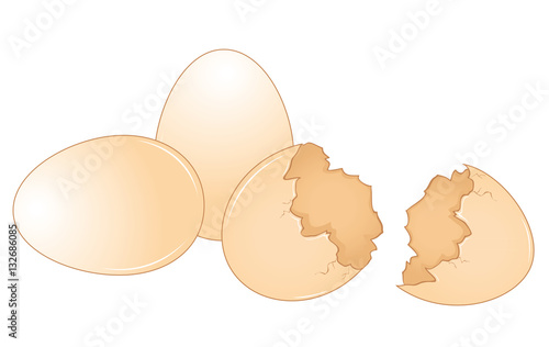 Brown chicken eggs collection