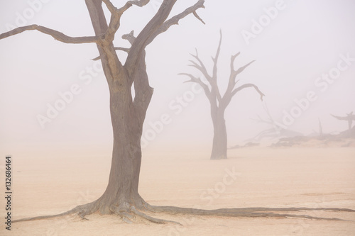 Sussusvlei Deadvlei - Namibia