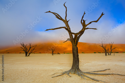 Sussusvlei Deadvlei - Namibia