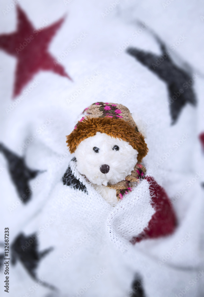 Winter concept, teddy bear and star blanket