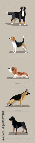 Dog breeds in minimalist style