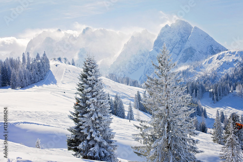 Winter landscape scene in a ski resort in Austria © Tomsickova
