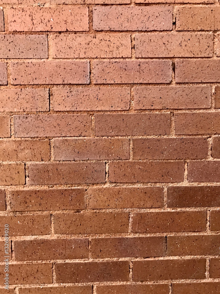 Obraz premium Brick Wall