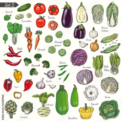 Big set of colored vegetables in sketch style