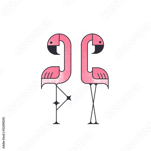 Two geometrical flat vector flamingo birds.