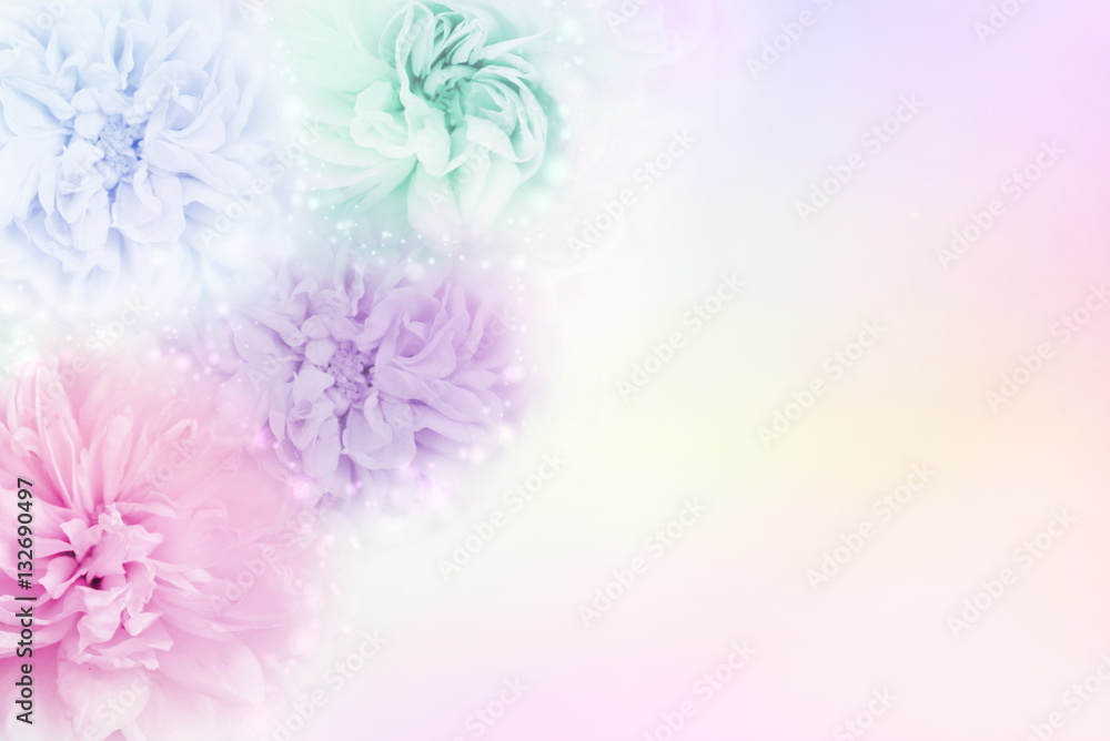 multicolor roses in a soft pastel background, which conveys the concepts of  love Valentine's Day and Wedding Invitation card making Stock Photo | Adobe  Stock