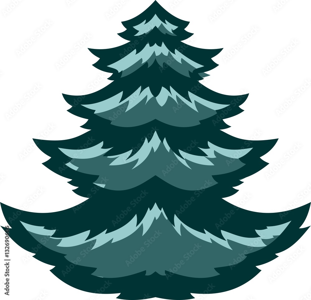 Obraz premium Spruce