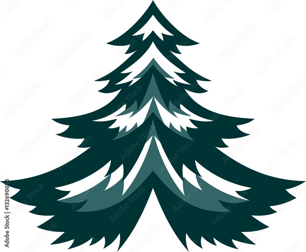 Obraz premium Spruce