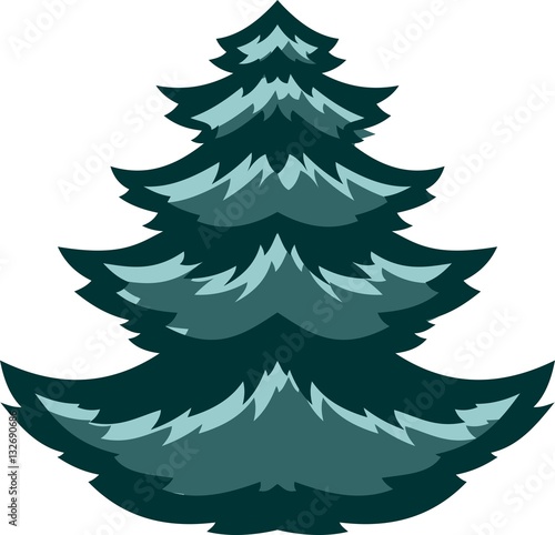 Spruce