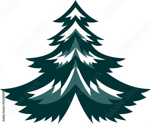 Spruce