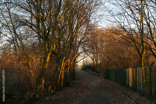 Path towards a small train track crossing