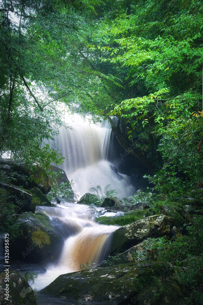 Fototapeta premium water fall