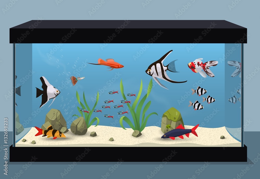 Fototapeta premium Freshwater aquarium illustration