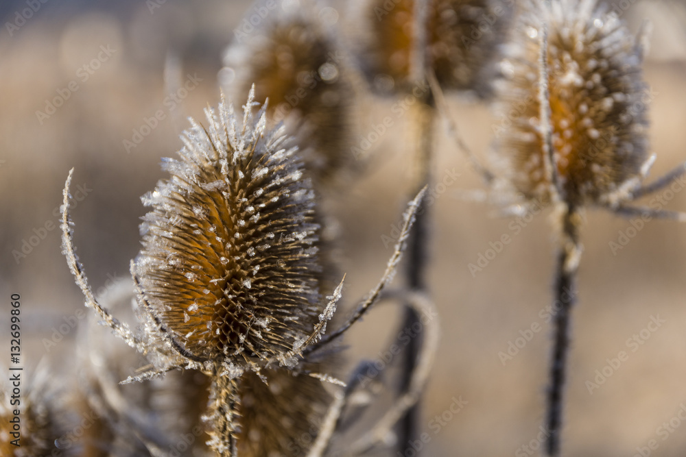 Obraz premium Lac de la Thuile - Massif des Bauges - Savoie.