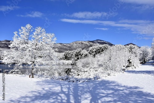 Wallpaper Mural Snowy Landscape Torontodigital.ca