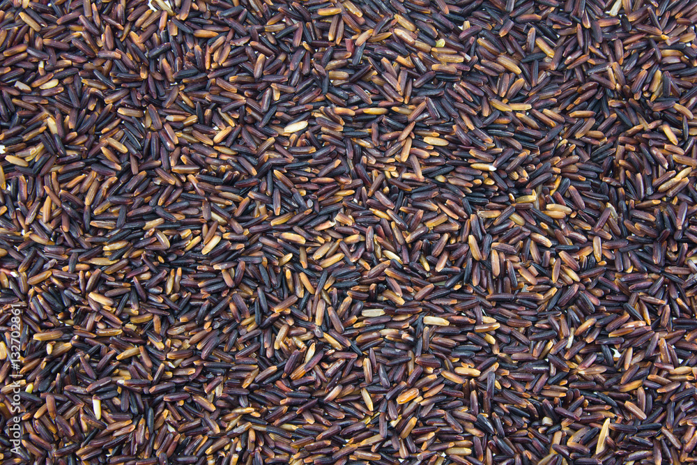 rice berry rice texture background rice berry rice texture background