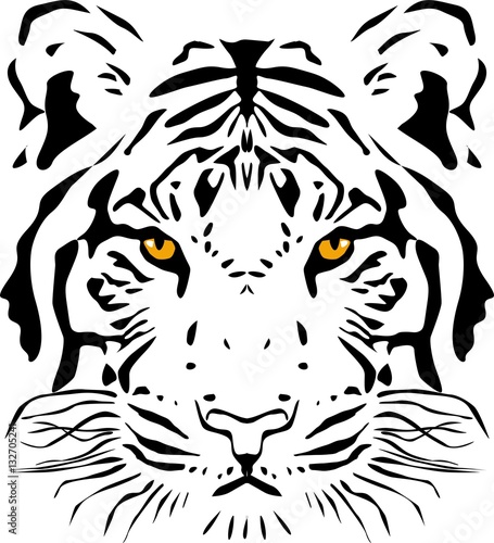 Fototapeta Naklejka Na Ścianę i Meble -  Tiger head