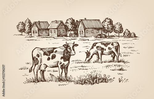 village and landscape