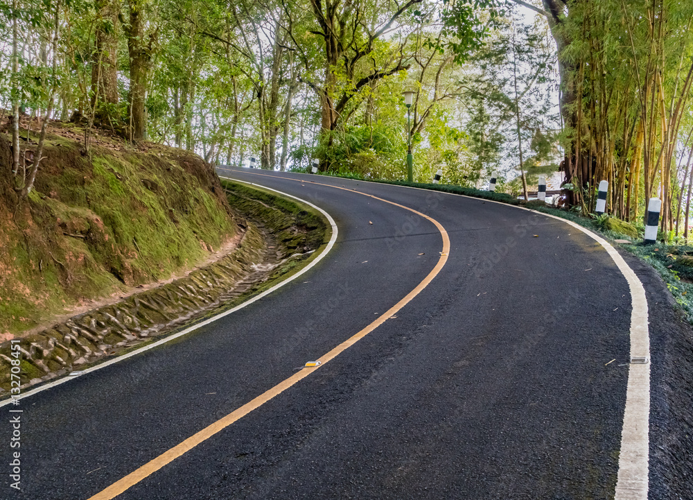 Fototapeta premium Road in the park