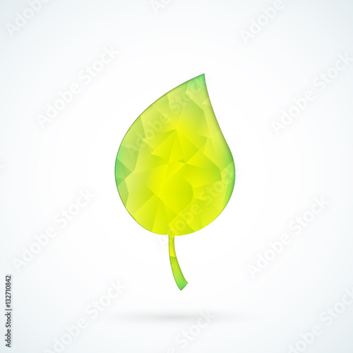 Green leaf geometric vector background