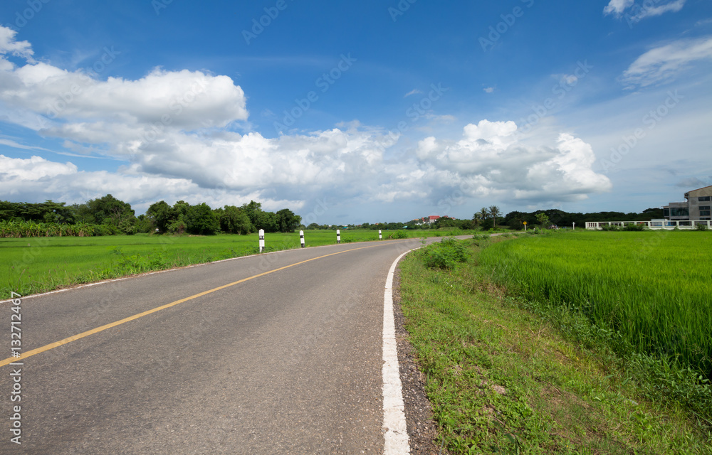 The road pass trough green rice field The road pass trough green rice field