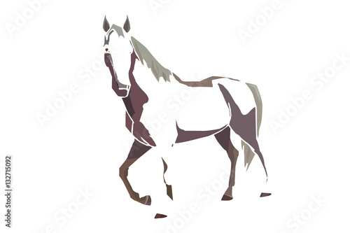 horse on white background