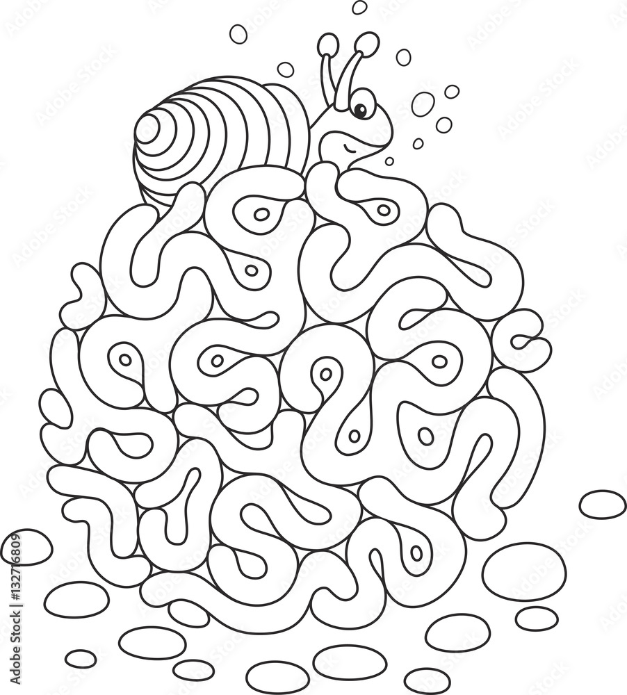 Small sea snail slowly crawling on a coral Small sea snail slowly crawling on a coral