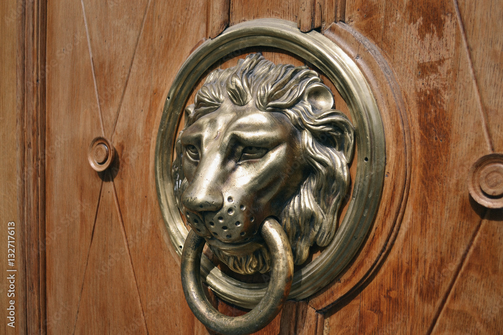Door knocker, handle - lion head Door knocker, handle - lion head