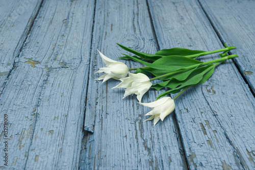 White tulips on wooden background  Easter  the Mother s Day