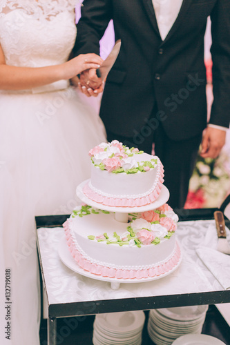 Wedding ceremony. Bride and groom cutting cake.