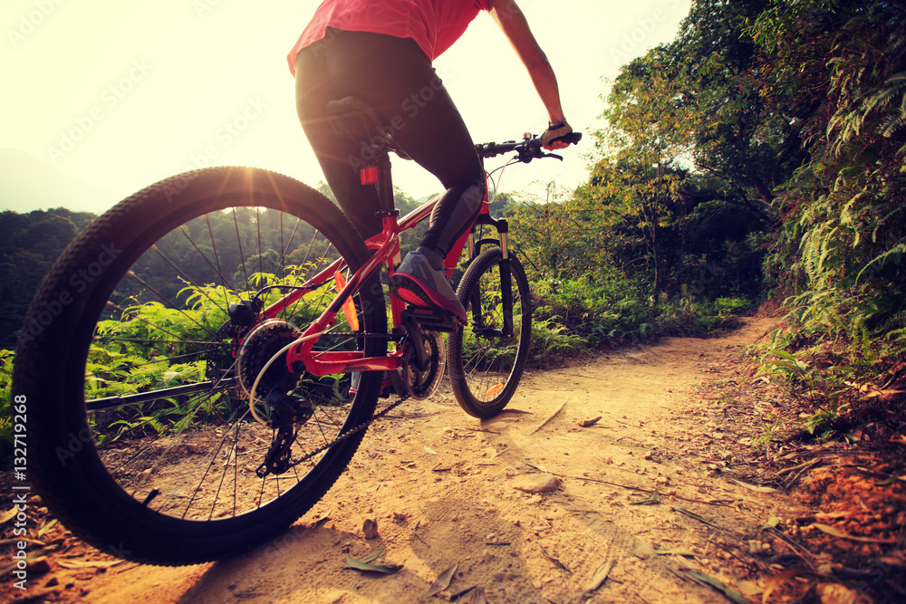 Obraz premium young woman riding mountain bike on forest trail