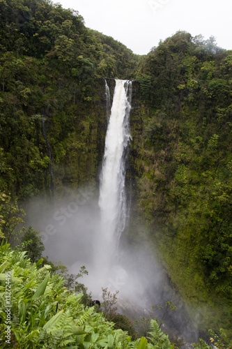 ハワイ島最大の滝 アカカ・フォールズ