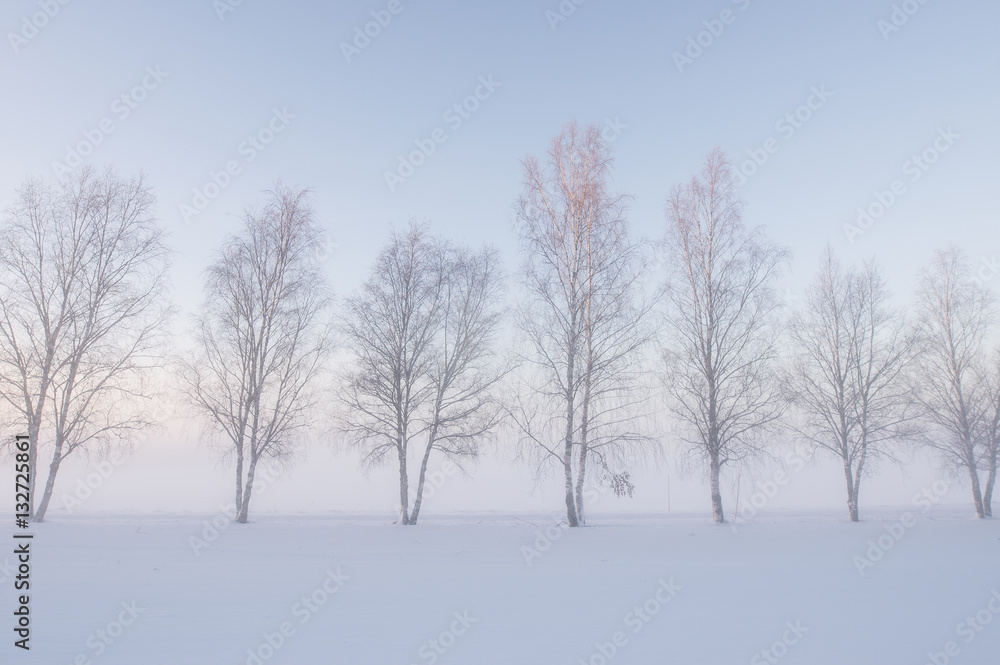 Misty morning in a wintry landscape