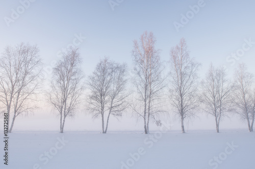 Misty morning in a wintry landscape © Conny Sjostrom