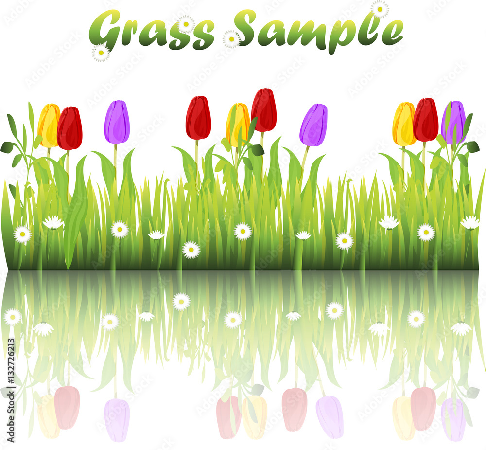 grass with flowers grass with flowers