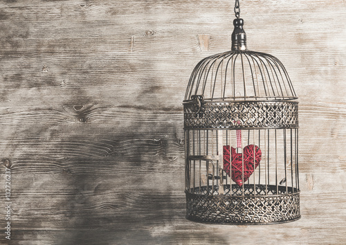 Fotografia Heart inside the bird cage