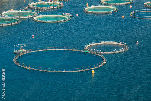 Fish farm in the sea