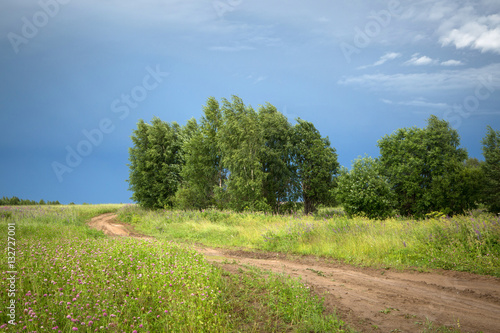 Road through the green field with birch trees after a storm