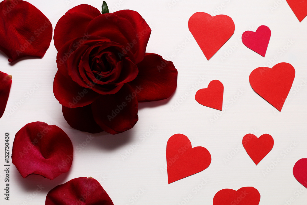 Postcard to Valentine's Day - Bright red rose, rose petals and paper red hearts on a white table. Postcard to Valentine's Day - Bright red rose, rose petals and paper red hearts on a white table.