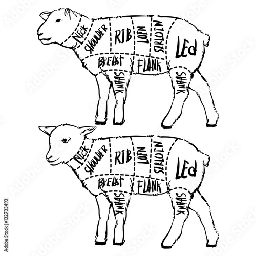 Meat cuts. Diagrams for butcher shop. Scheme of lamb. Animal sil