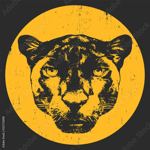 Portrait of Panther. Hand drawn illustration. Vector.