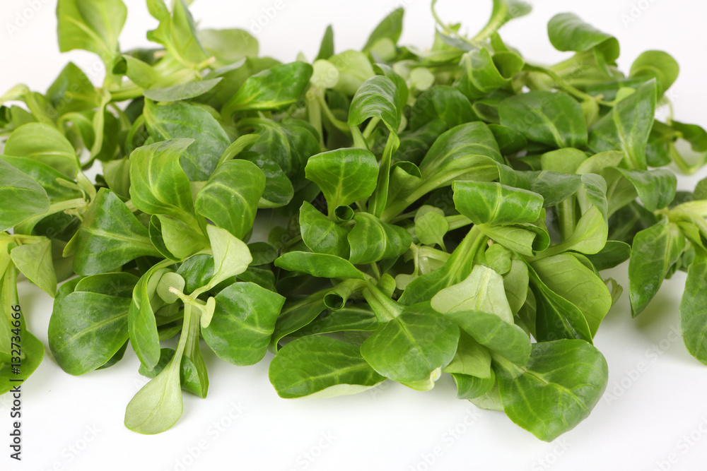 Feldsalat Feldsalat