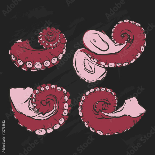 Vector tentacles drawing on a black background. Hand drawn octop photo