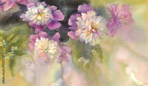 bouquet of pink and white peonies watercolor