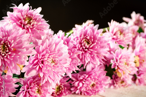 bouquet pink chrysanthemum closeup