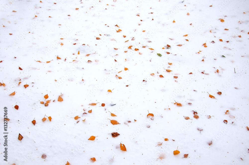Autumn leaf on fresh snow. Autumn leaves in ice. Autumn colorful leaf texture background. Autumn leaf on fresh snow. Autumn leaves in ice. Autumn colorful leaf texture background.