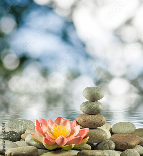 Image of stones and lotus flower on the water close-up,