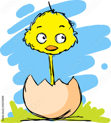 new cute chicken born from egg - color sketch