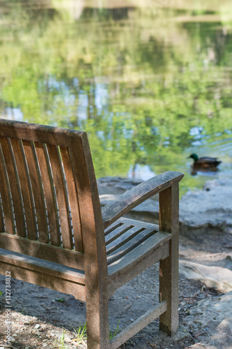 Obraz na płótnie Sit with serenity. Peaceful place to rest overlooking water. Ducks. w salonie